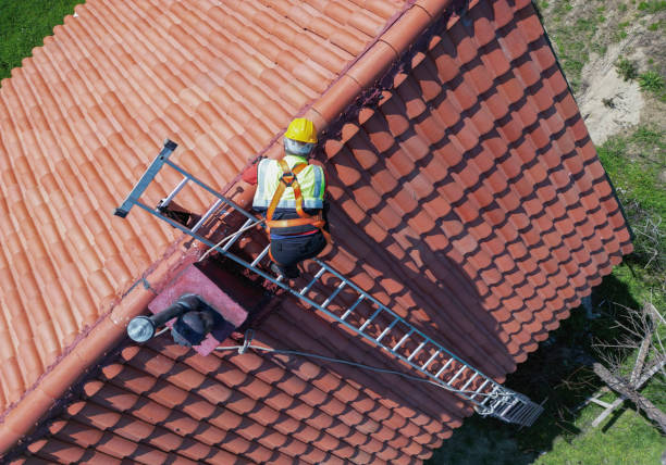 Best Roof Moss and Algae Removal  in Cortland West, NY